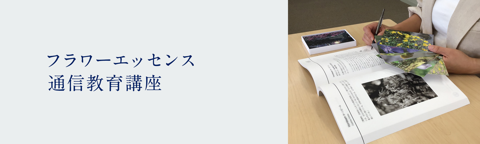 フラワーエッセンス通信教育講座