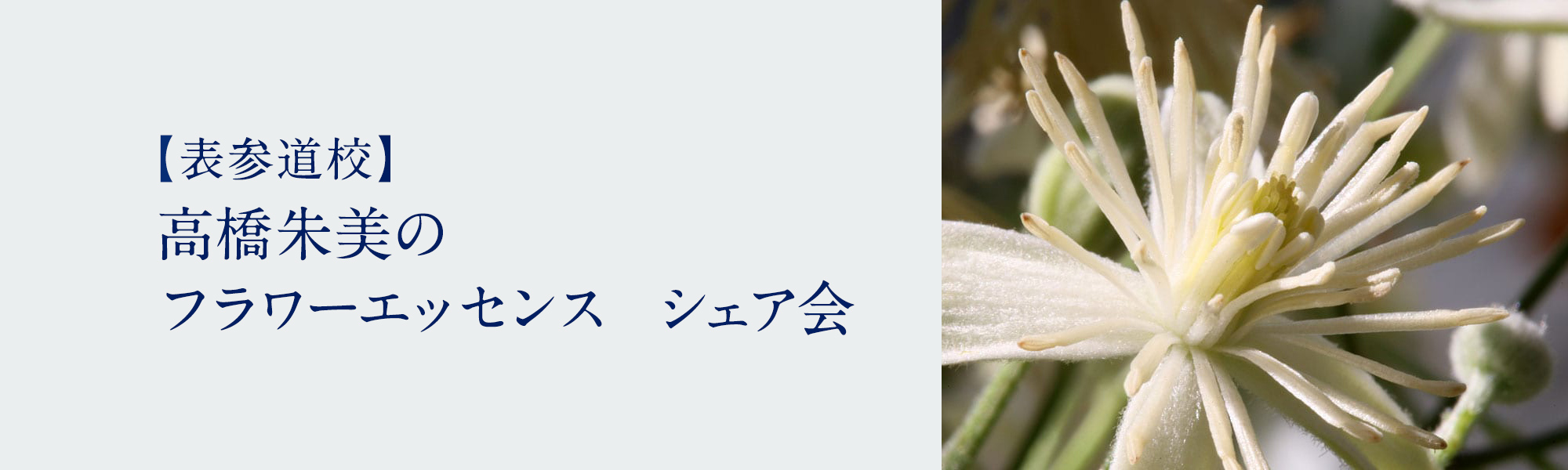 高橋朱美のフラワーエッセンス　シェア会