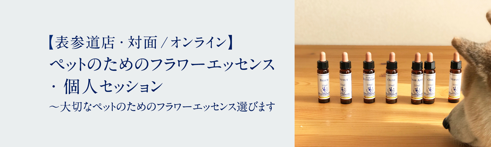 ペットのためのフラワーエッセンス・個人セッション