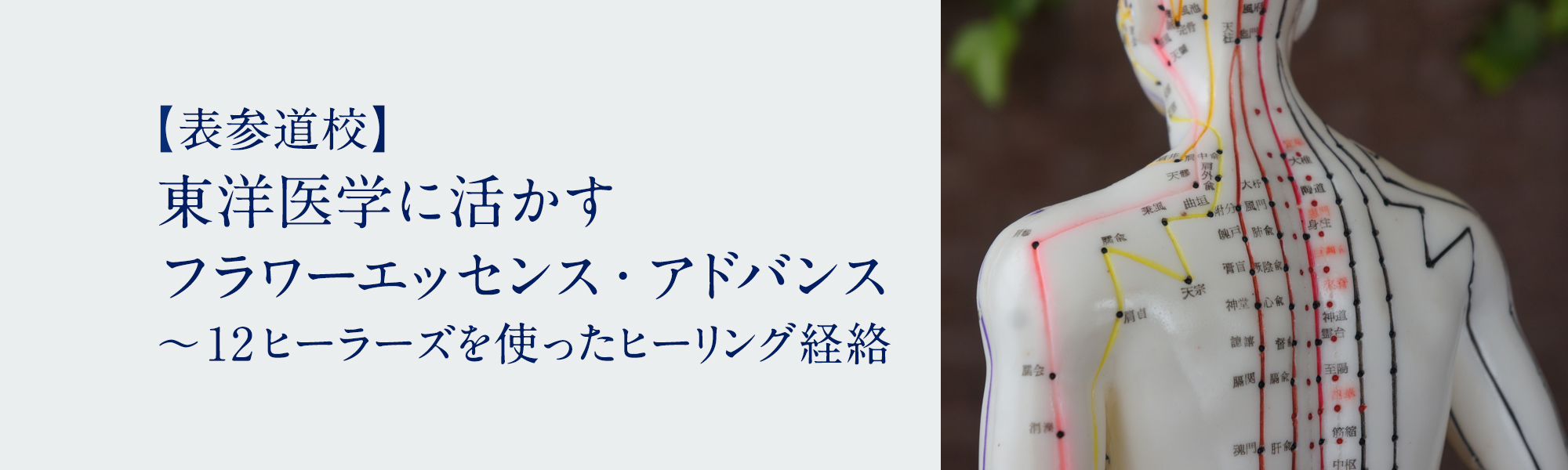 東洋医学に活かすフラワーエッセンス・アドバンス ～12ヒーラーズを使ったヒーリング経絡