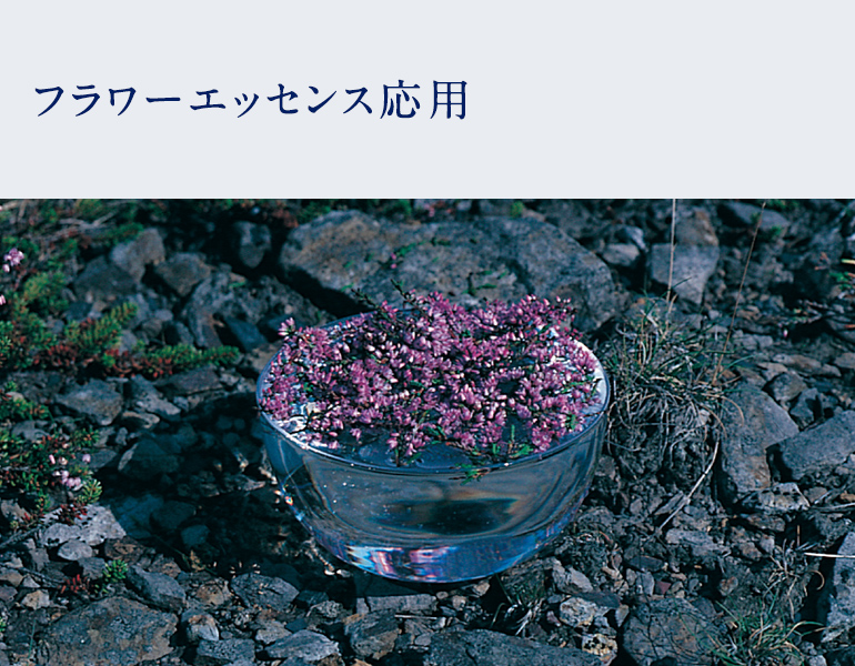 フラワーエッセンス応用