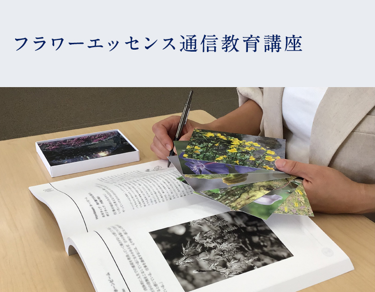 フラワーエッセンス通信教育講座 | フラワーエッセンスクラス | ホリ