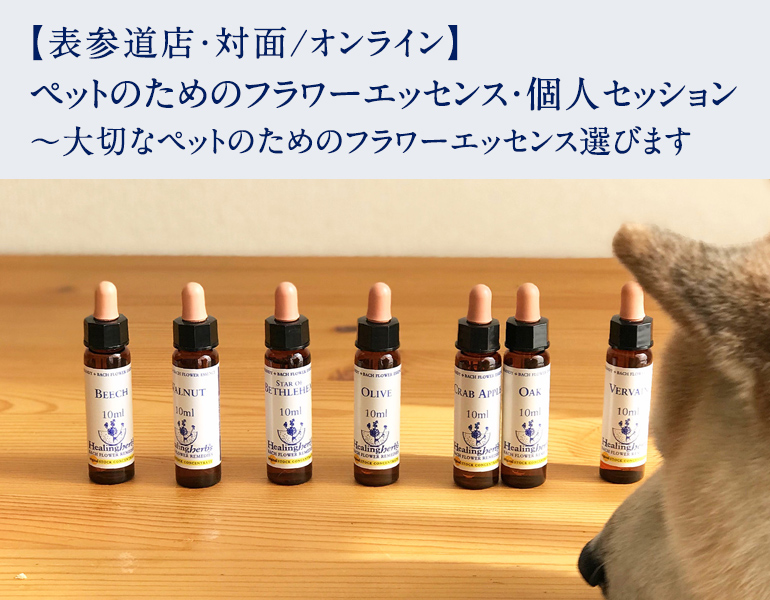 ペットのためのフラワーエッセンス・個人セッション