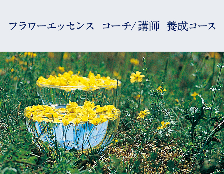 フラワーエッセンス　コーチ/講師　養成コース