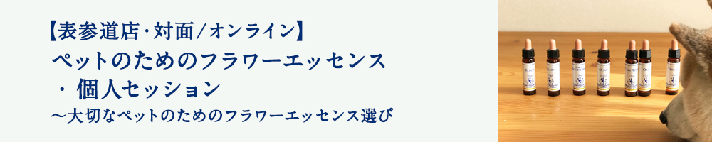 ペットのためのフラワーエッセンス・個人セッション