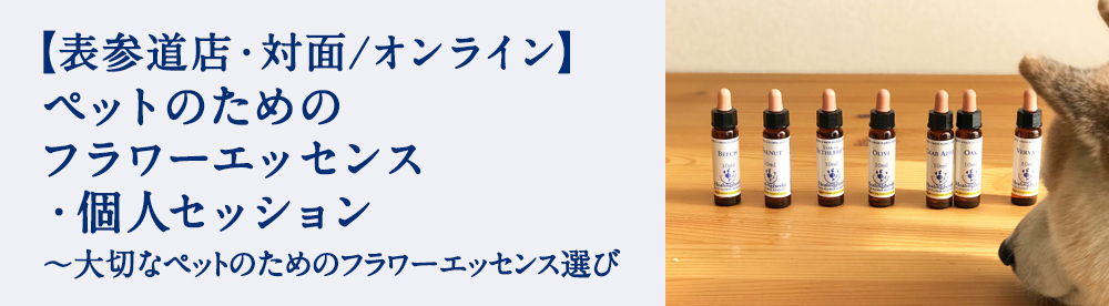ペットのためのフラワーエッセンス・個人セッション