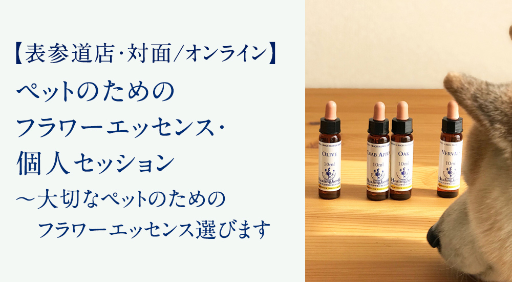 ペットのためのフラワーエッセンス・個人セッション