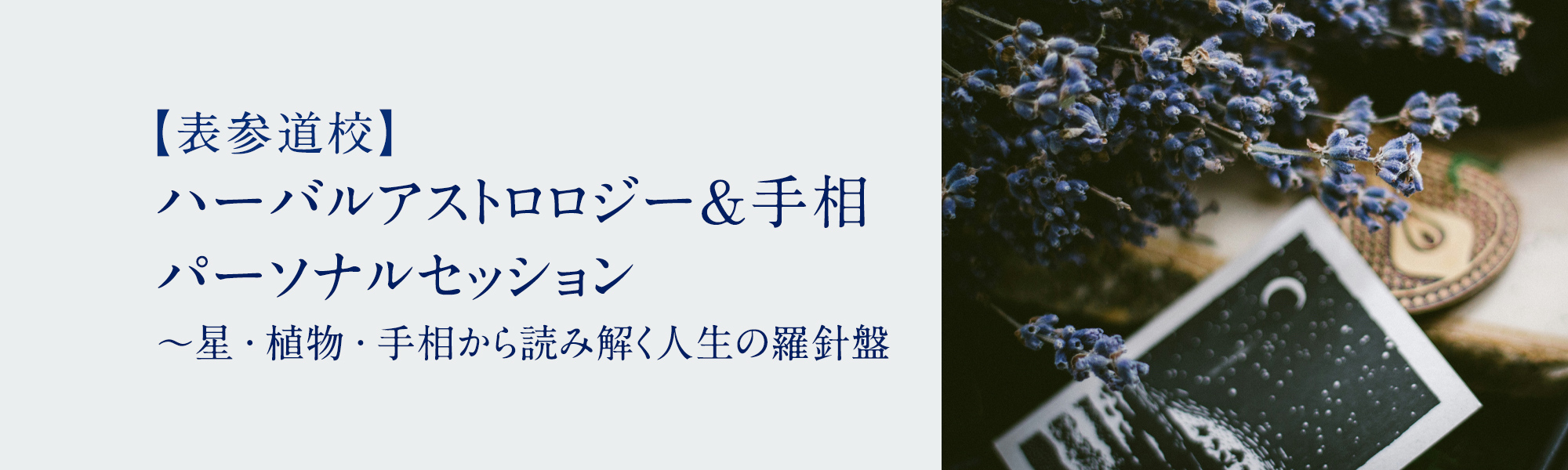 ハーバルアストロロジー＆手相　パーソナルセッション ～星・植物・手相から読み解く人生の羅針盤