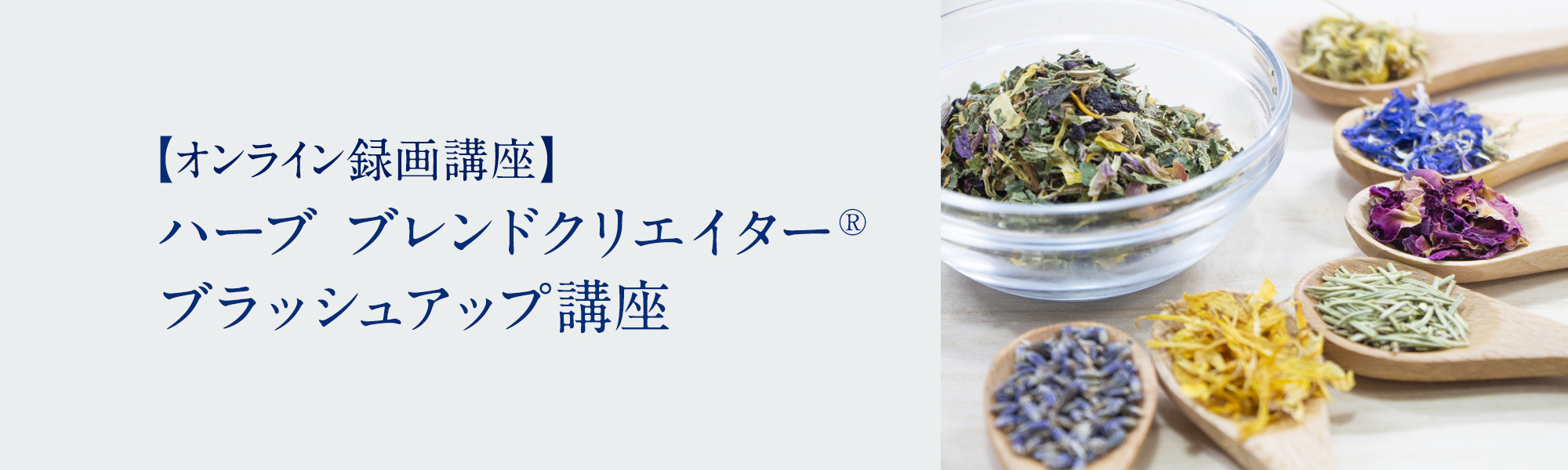 ハーブ ブレンドクリエイターブラッシュアップ講座