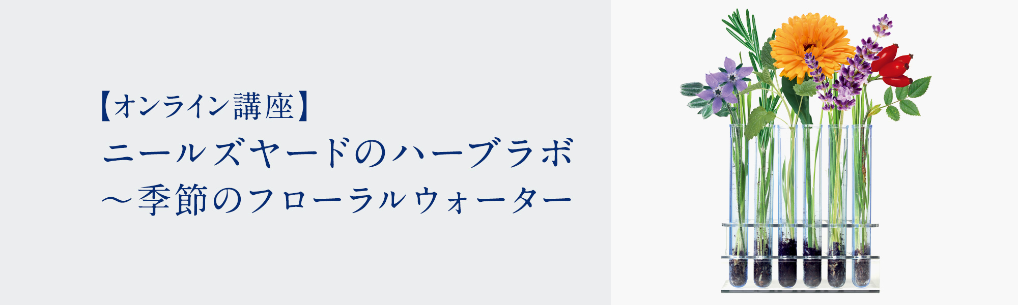 ニールズヤードのハーブラボ 季節のフローラルウォーター メディシナルハーブクラス アロマスクール ニールズヤード レメディーズ