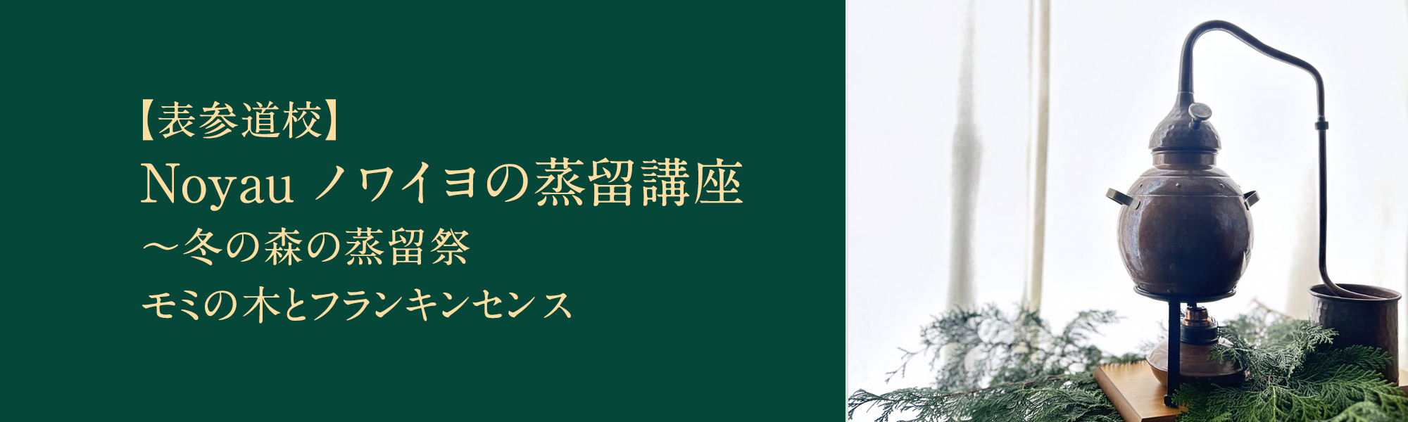 Noyauノワイヨの蒸留講座　冬の森の蒸留祭　モミの木とフランキンセンス