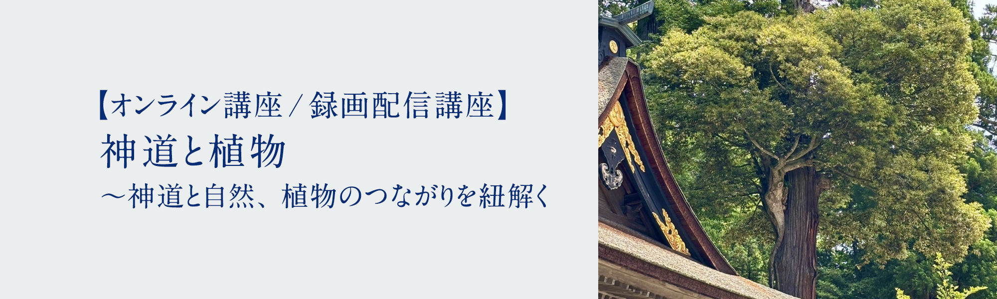 神道と植物 ～神道と自然、植物のつながりを紐解く