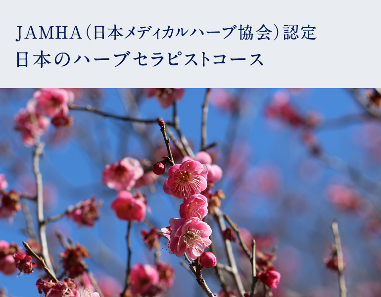 JAMHA認定日本のハーブセラピストコース