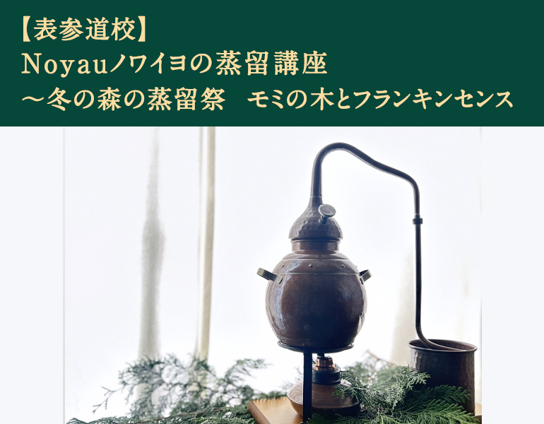 Noyauノワイヨの蒸留講座　冬の森の蒸留祭　モミの木とフランキンセンス
