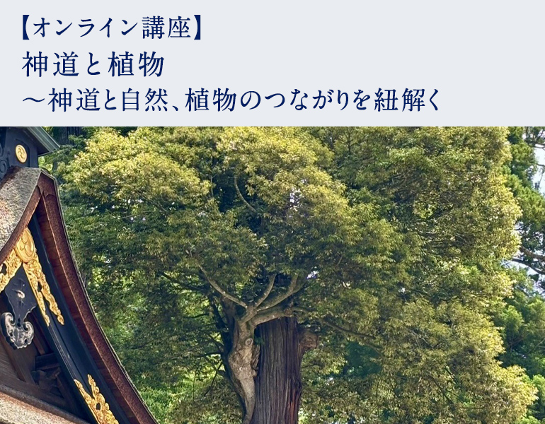 神道と植物 ～神道と自然、植物のつながりを紐解く