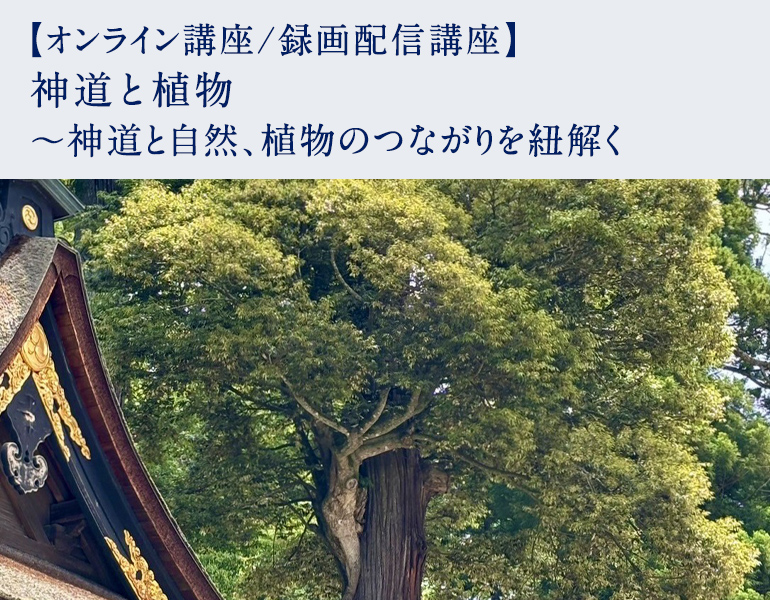 神道と植物 ～神道と自然、植物のつながりを紐解く