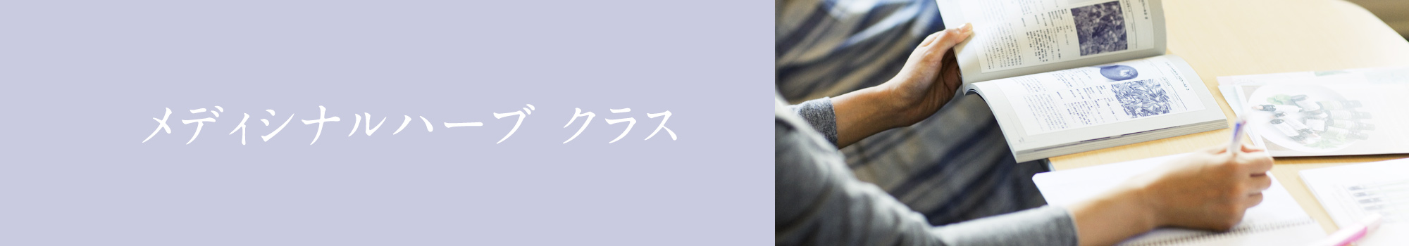 メディシナルハーブクラス