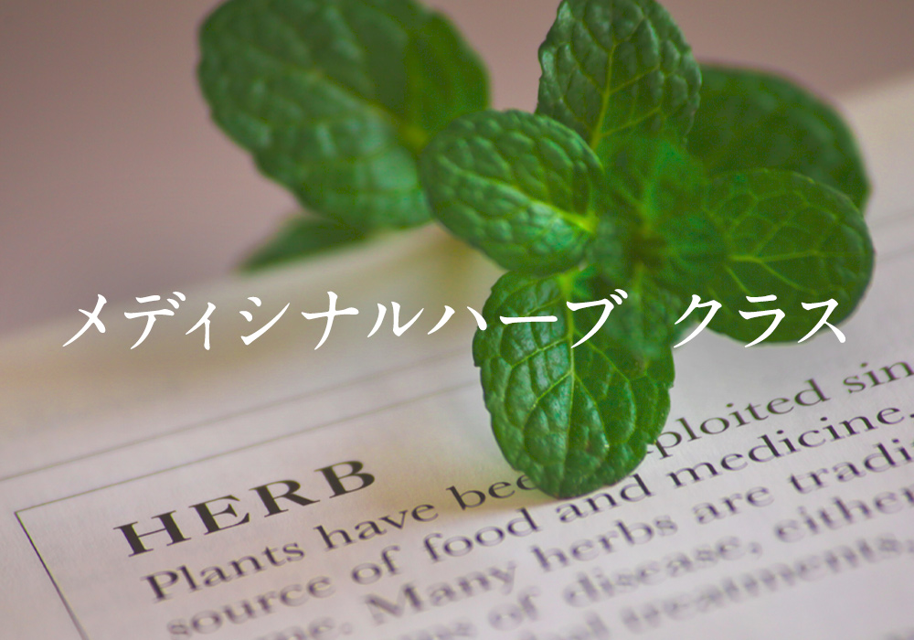 メディシナルハーブクラス