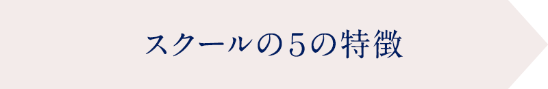 スクールの5の特徴