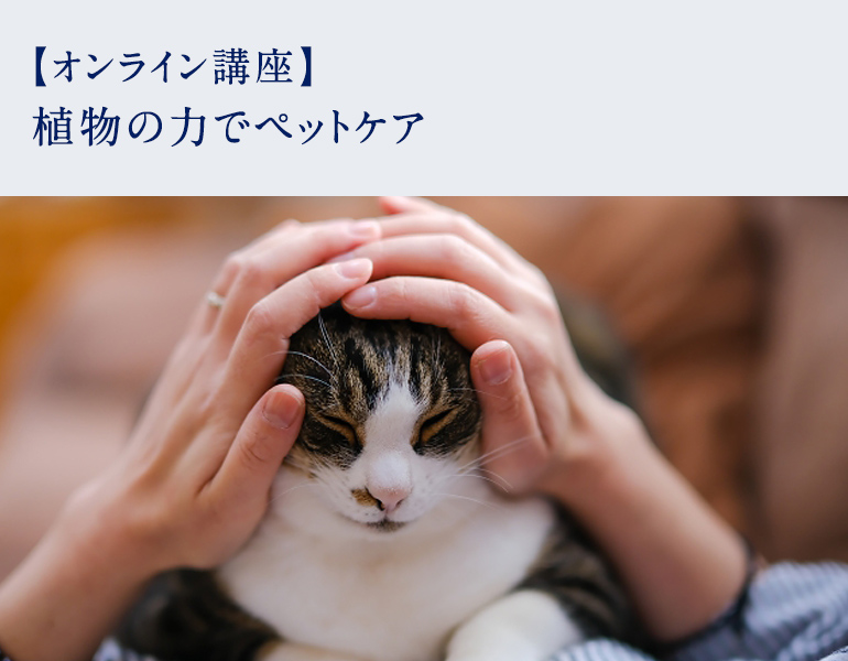 オンライン講座 植物の力でペットケア 初心者ok 1dayレッスン アロマスクール ニールズヤード レメディーズ