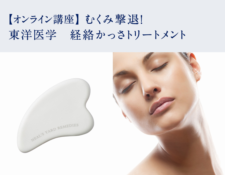 むくみ撃退 東洋医学 経絡かっさトリートメント 初心者ok 1dayレッスン アロマスクール ニールズヤード レメディーズ むくみ撃退 東洋医学 経絡かっさトリートメント 初心者ok 1dayレッスン アロマスクール ニールズヤード レメディーズ