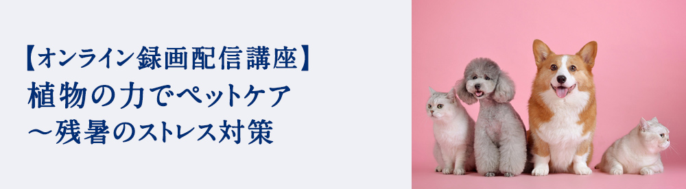 植物の力でペットケア