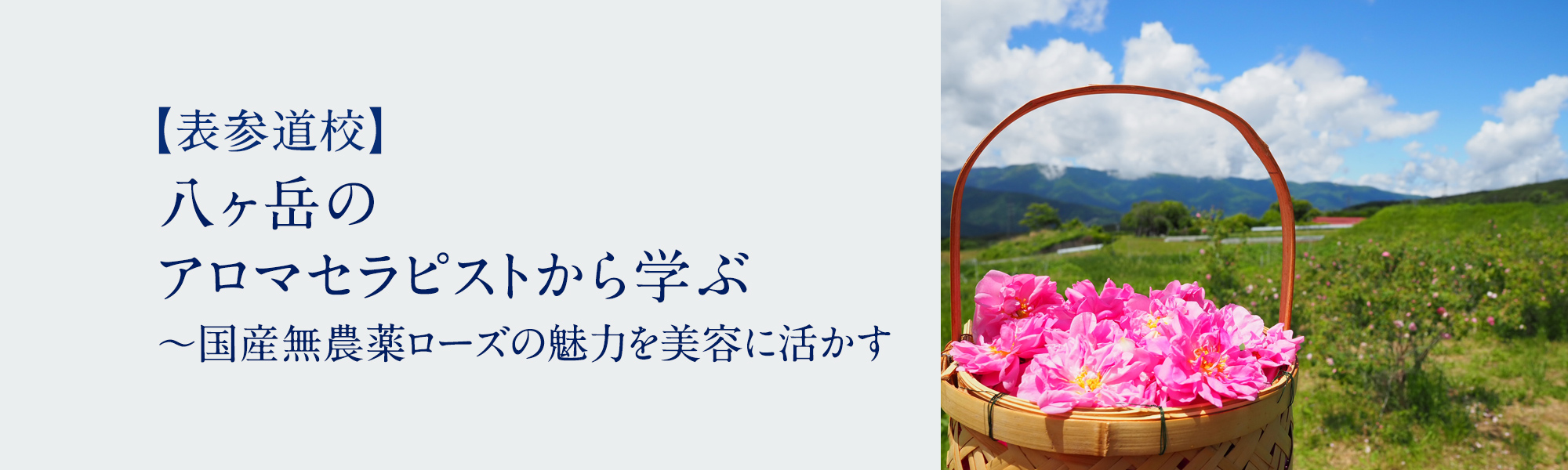 八ヶ岳のアロマセラピストから学ぶ