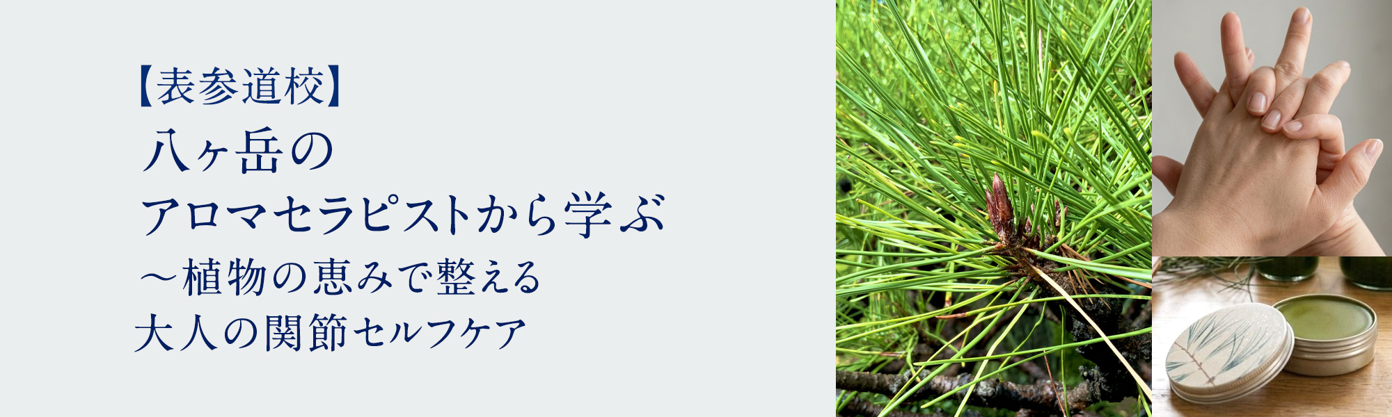 八ヶ岳のアロマセラピストから学ぶ