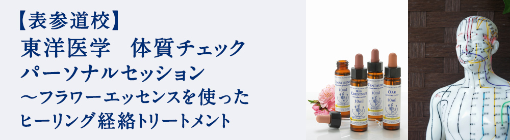 東洋医学　体質チェック　パーソナルセッション