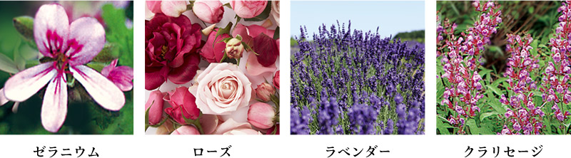 更年期を楽しく乗り切るセルフケア