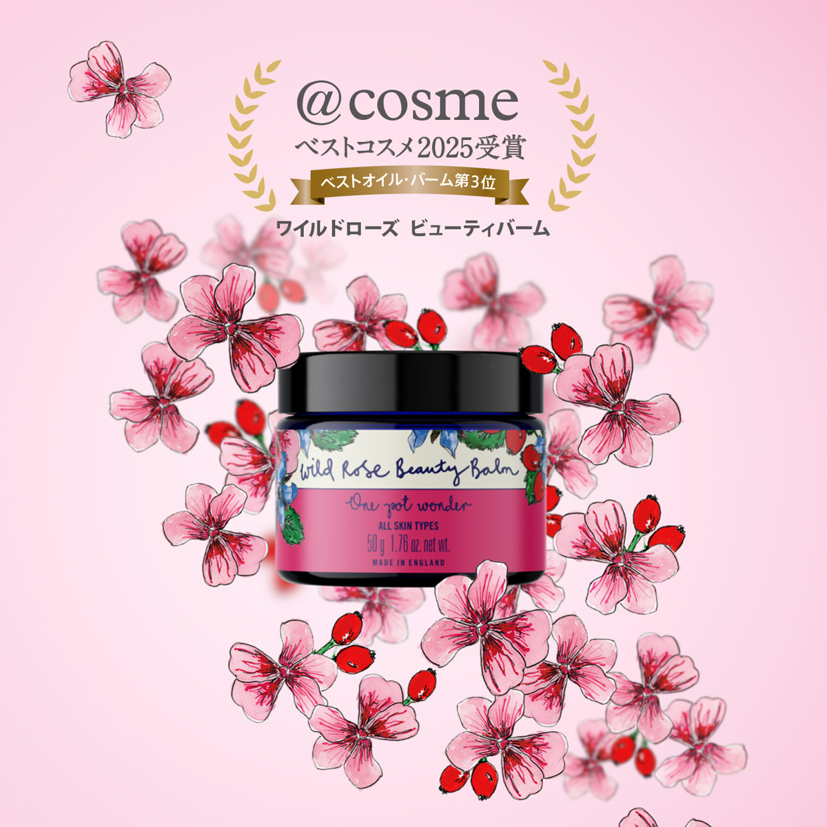 最終値下げ 3/5までの出品 neat セルロースニドム スタンダード 46