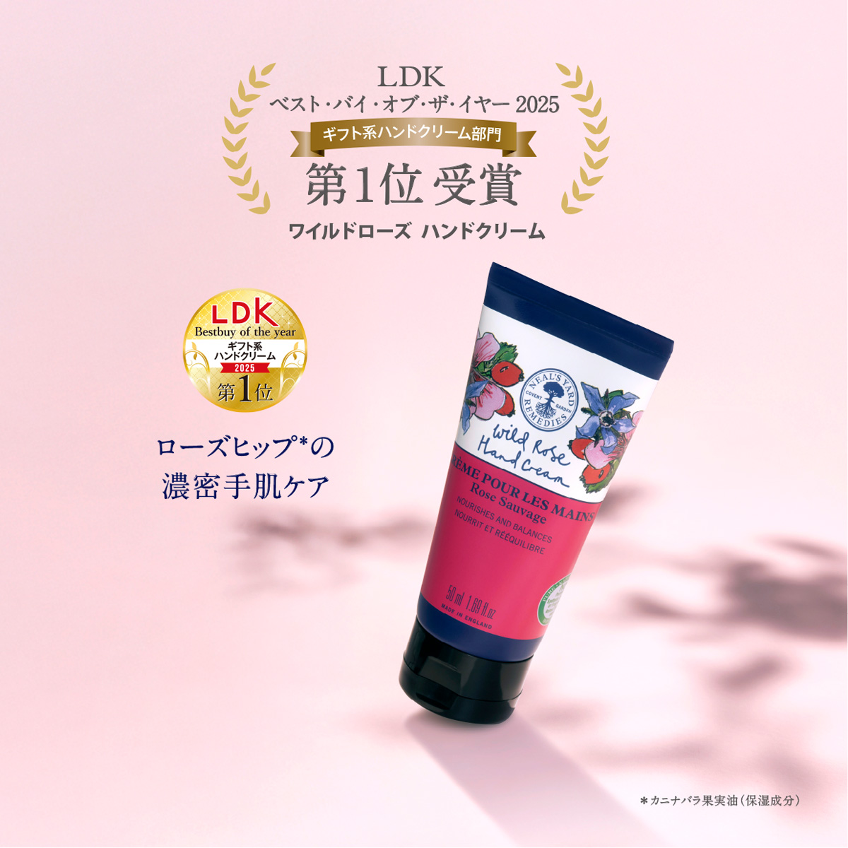 LDK ベストバイ・オブ・ザ・イヤー2025第1位受賞】ワイルドローズ