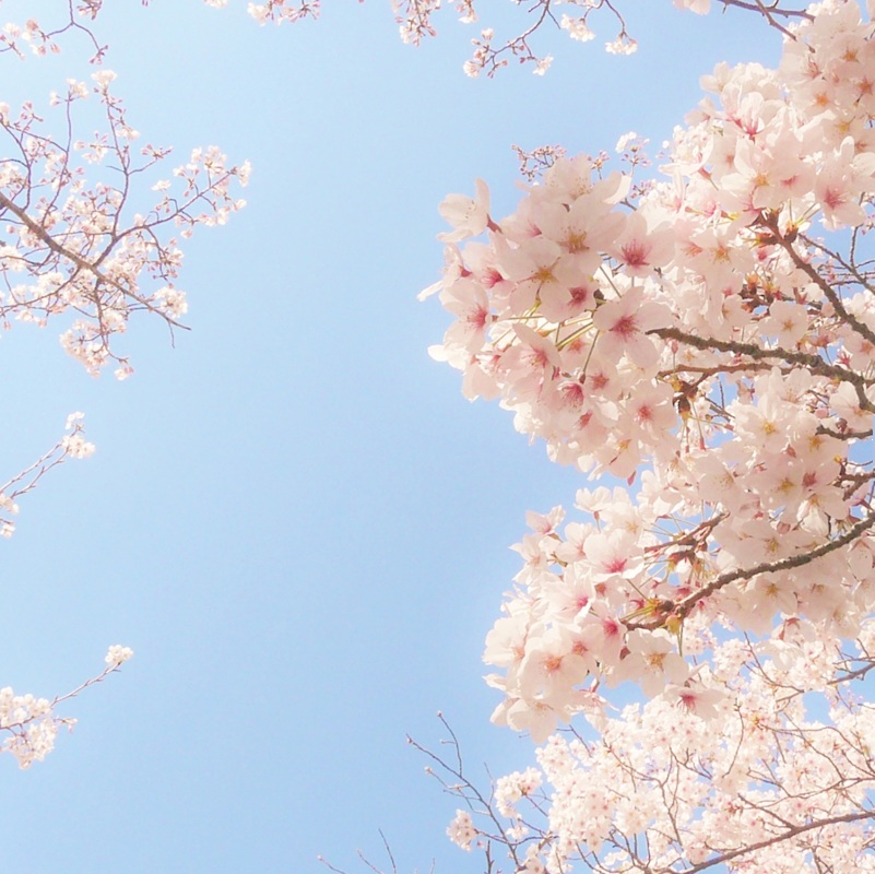 スキンケア製品レビューランキング